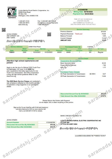 USA Ohio Lorain-Medina Rural Electric utility bill template in Word and PDF format